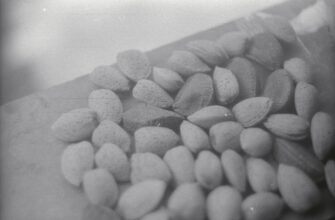 protect seed phrase in cold storage step by step