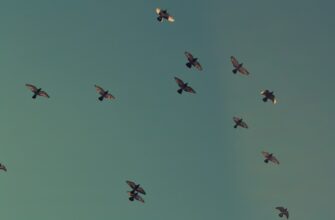 receive ton airdrop on binance
