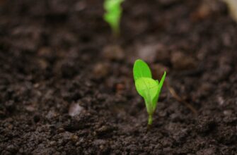 recover seed phrase anonymously step by step