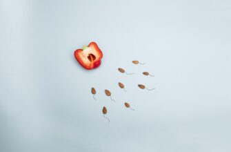 recover seed phrase without kyc best practices