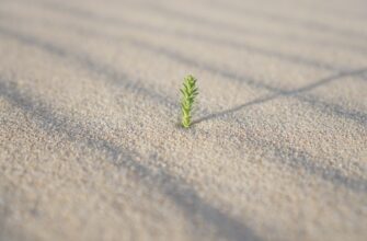 secure seed phrase safely step by step