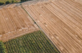 yield farm ada on pendle highest apy