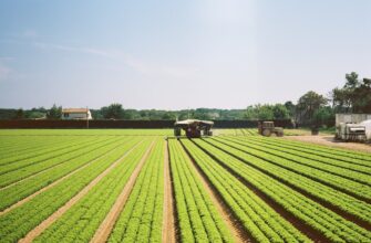 yield farm avax on binance earn flexible