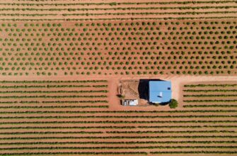 yield farm dot guide