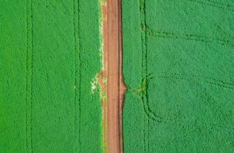 yield farm dot on compound