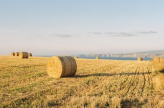 yield farm ethereum on binance earn