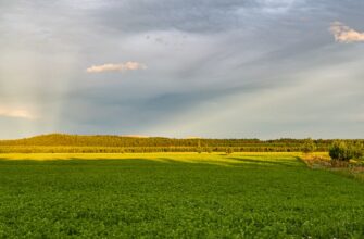 yield farm ethereum on lido finance low risk