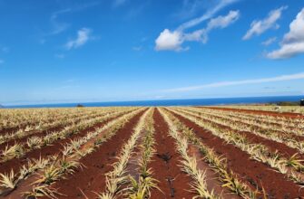 yield farm usdc on kraken staking low risk