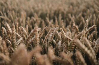yield farm usdt on kraken staking in 2025