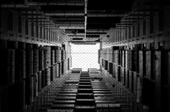 backup account in cold storage for beginners
