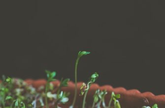 backup seed phrase anonymously step by step