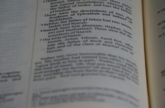 copy trading btc on binance manual