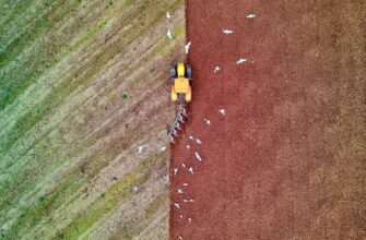 farm bnb on coinbase staking step by step