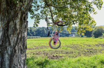 free sui airdrop on optimism