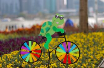 how to free pepe airdrop legit