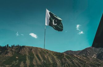 how to report nft profit in pakistan