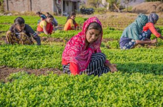 is defi yield taxable in pakistan 2025