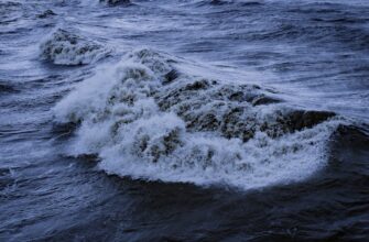 liquidity mine ada on kraken staking low risk