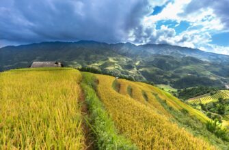 pay taxes on defi yield in philippines
