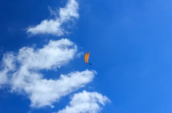 receive ton airdrop on arbitrum