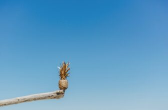 recover seed phrase offline best practices