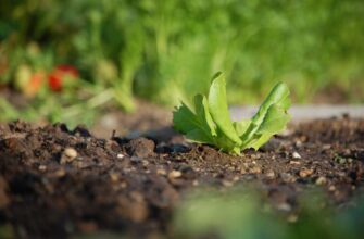 recover seed phrase safely low cost